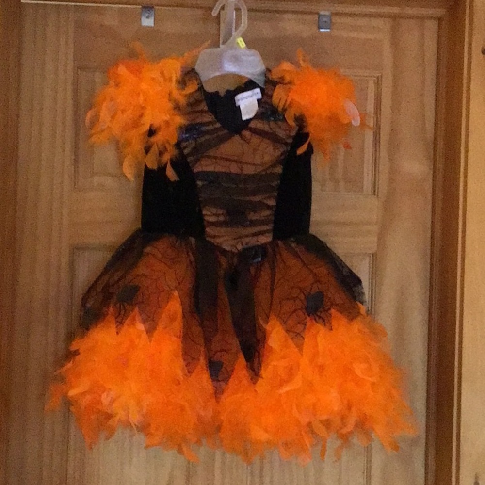 Chasing Fireflies Vibrant Orange and Black Feather Costume